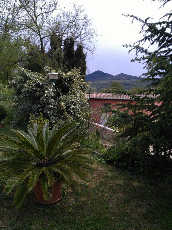 Agriturismo Usurtala Orani Eksteriør bilde