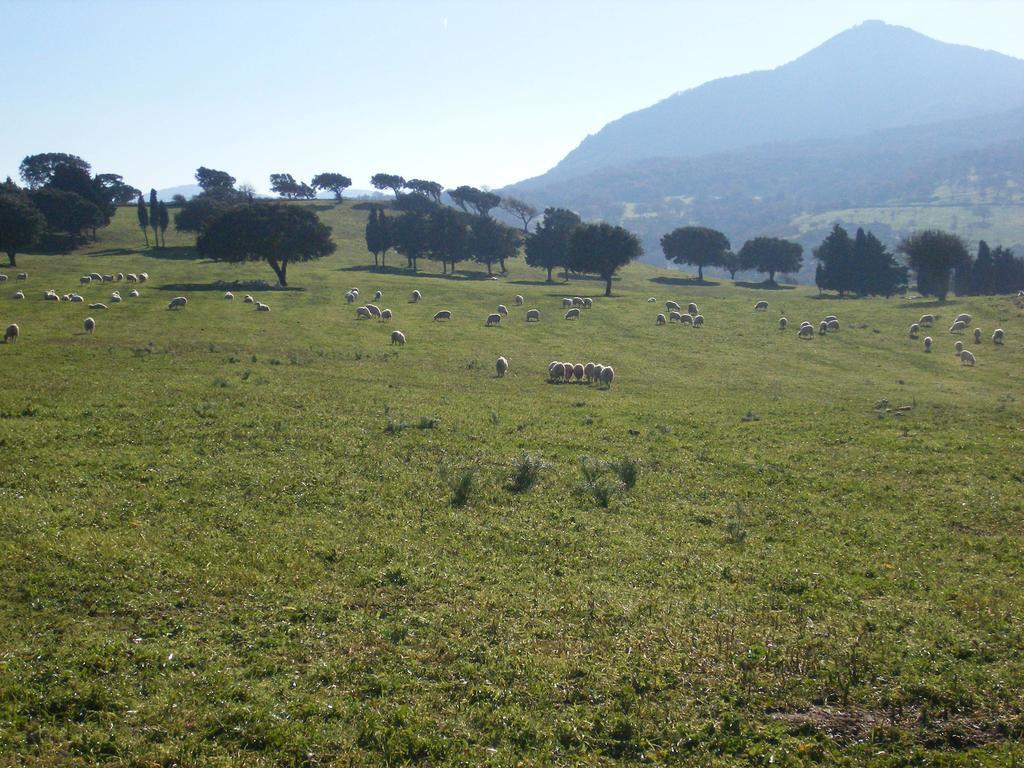 Agriturismo Usurtala Orani Eksteriør bilde